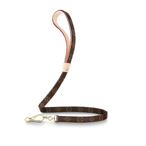 Louis Vuitton Cane 